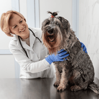 medium-shot-doctor-checking-cute-dog